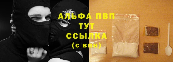 прущие крисы Новодвинск