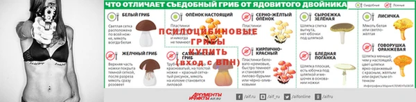 a pvp Няндома